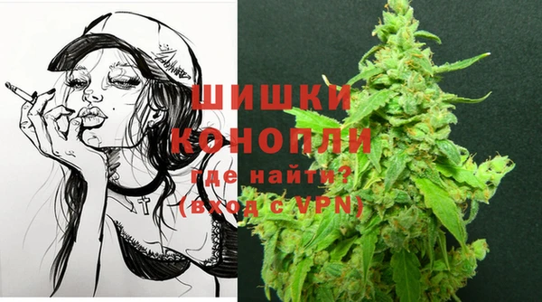 jwh Пересвет