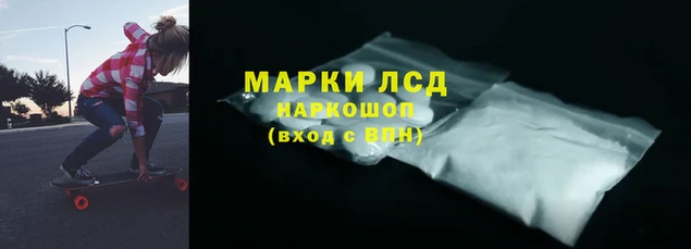 jwh Пересвет