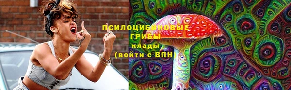 прущая мука Переславль-Залесский