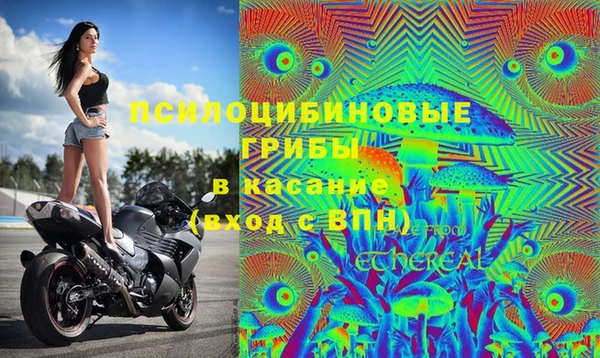 мет Осинники