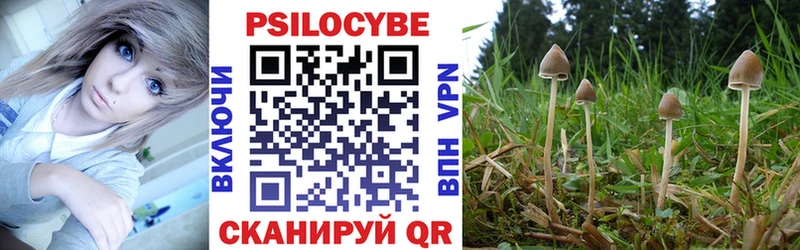 Псилоцибиновые грибы Psilocybe  Краснокаменск 