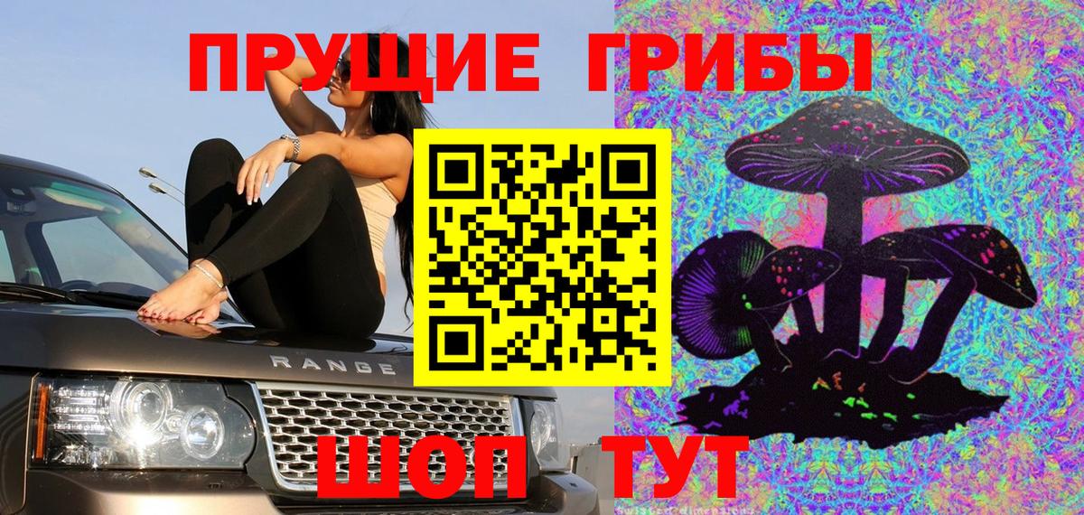Краснокаменск  Галлюциногенные грибы прущие грибы  Вход с VPN 